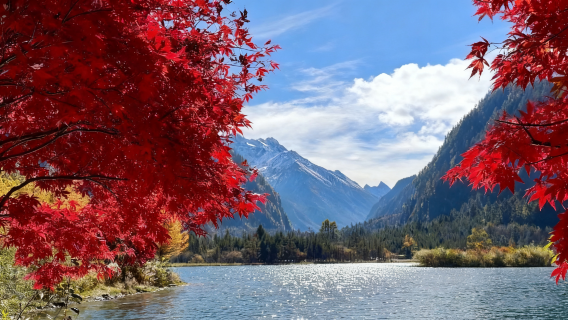 畢棚溝+達古冰川風景區【跟團遊 * 贈氧氣+Trip Moments * 真純玩】