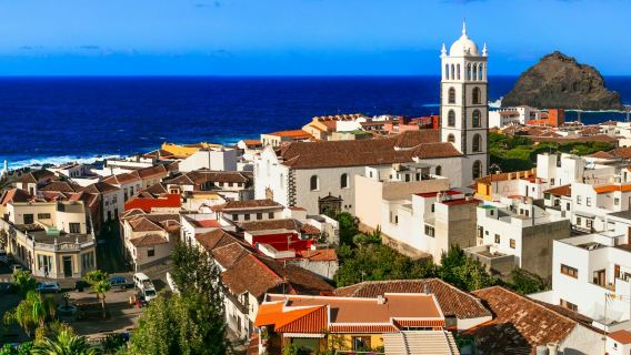 Tenerife: Guided Island Tour + Roundtrip Transfer
