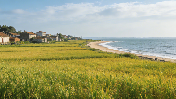 Zhongshan Yakou Village - Sun Yat-sen's Former Residence - Sun Wenxi Road Pedestrian Street - Zhan Garden