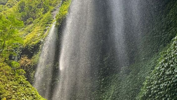 Mt Bromo sunrise, Madakaripura Waterfall or Mount Savannah tour