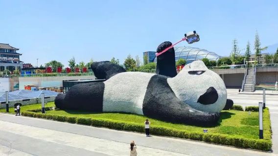 Blue Tears Night View | Chengdu Panda Base + Dujiangyan + Zhongshuge + Yangtianwo Day Tour