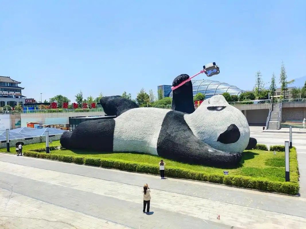 Notte blu luminosa | Tour di un giorno a Chengdu: Base dei Panda, Dujiangyan, Zhongshuge e Yangtianwo