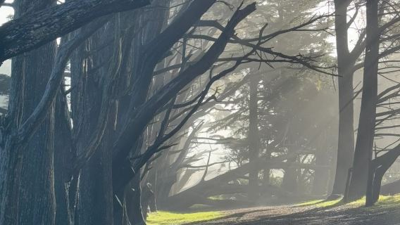 Departing from Los Angeles, USA - Pacific Coast Highway Monterey - Ending in San Francisco - Private charter available - Top pick