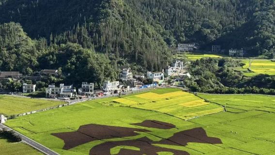 貴州興義萬峰林+馬嶺河一日遊【興義出發+上門接送+品質小團】