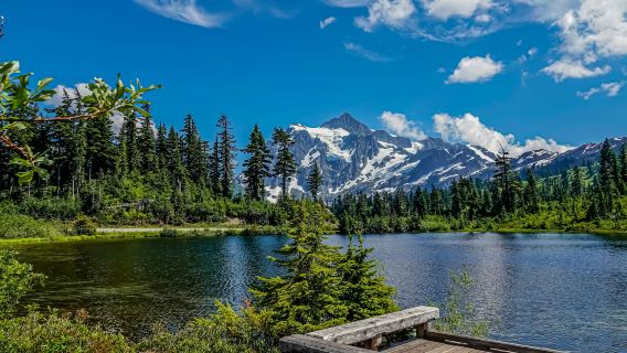 Book after consultation/Washington D.C. Capitol Hill White House Capitol Building Olympic National Park/Airport/Point-to-point car service/Tour guide and driver/Private car service