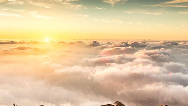 Private Immersion Day Tour in Taian Mount Tai: Explore The Cradle of Chinese Civilization