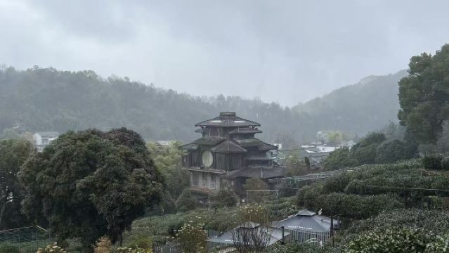 Hangzhou: Classic Day Tour from Shanghai by Bullet Train | CITS × ZANBUS