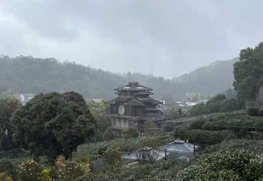 Hangzhou: Classic Day Tour from Shanghai by Bullet Train | CITS × ZANBUS