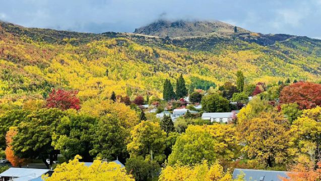 New Zealand Queenstown: Glenorchy + Paradise + Arrowtown Autumn Festival | Perjalanan Sewaan Peribadi dalam Bahasa Cina Boleh Disesuaikan