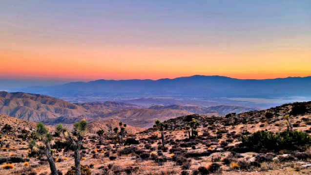 美國洛杉磯來回-約書亞樹國家公園-棕櫚泉【中文包車自由行】