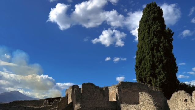 1-day tour to Pompeii & Mount Vesuvius (Departing from Rome)