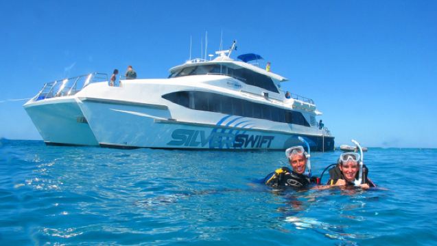 Cairns Great Barrier Reef 1-day tour with Silverswift [Optional scuba diving]