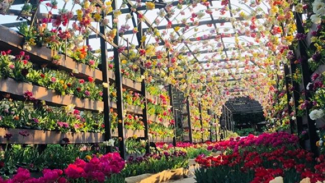 境港遊輪靠岸一日遊｜松江城+由志園+水木茂大道人文自然雙體驗