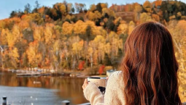 Round-trip Toronto Canada: Algonquin provincial national park/customizable