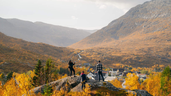 Noruega - Tromso: Excursión por el fiordo (viaje organizado)