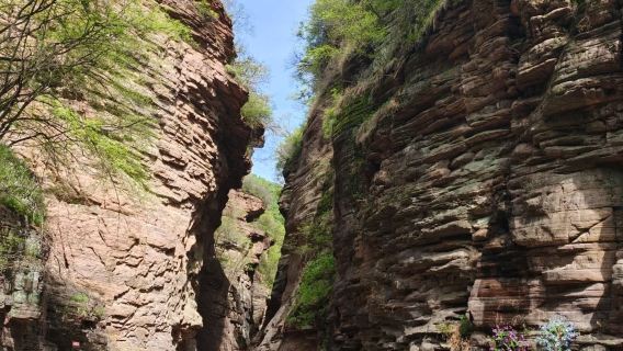 洛陽龍潭大峽谷一日遊【景區專線接駁車-天天發團-純玩無購物】