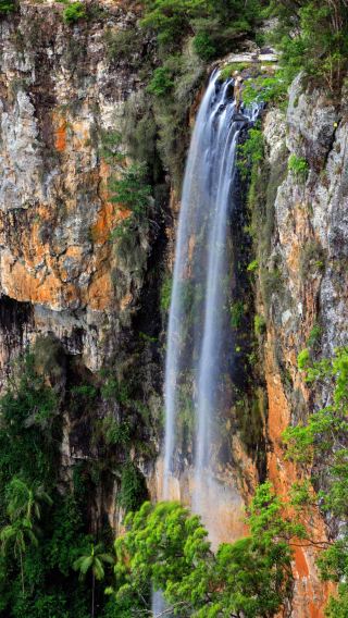 黃金海岸熱帶水果園+春熙國際公園瀑布+自然橋螢火蟲洞一日遊