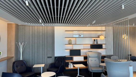 CDG Paris Charles de Gaulle VIP lounge pass (VIP first class + transit lounge IVIP overnight transfer + office dining shower)