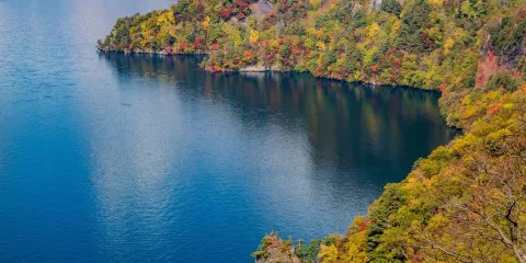 青森來回-八甲田山+奧入瀨溪流+十和田湖包車遊,行程可調