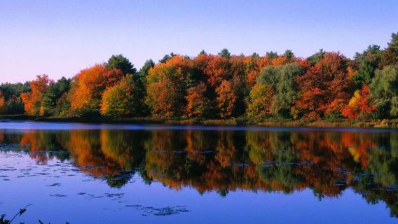 Boston - Pasar Quincy + Tasik Walden + Lexington - Sewaan Peribadi Bahasa Cina, perjalanan boleh dilaras