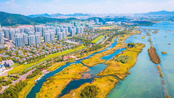 Desde Shanghái: Excursión de un día a la antigua ciudad de Guangfu en Suzhou + Xiangxuehai + servicio de coche privado con conductor al lago Taihu