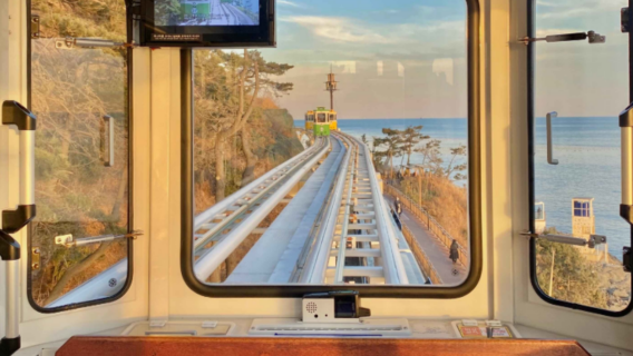 Busan highlights small group tour┃includes sky capsule train ticket┃Haedong Yonggungsa Temple┃Gamcheon Culture Village