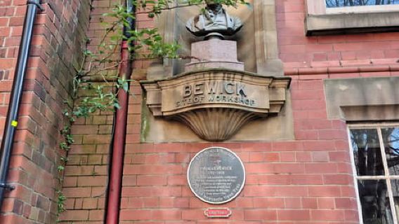 Newcastle: Guided Walking Tour with Quayside Views