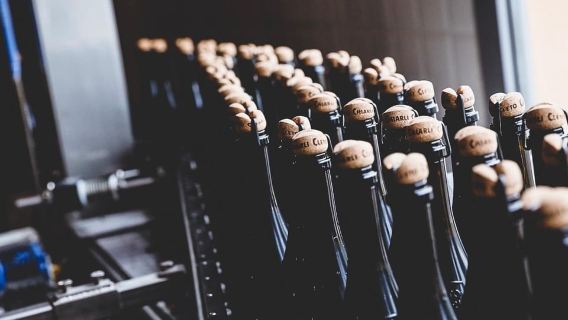 Modena: Cellar Tour & Lambrusco Tasting in Castelvetro