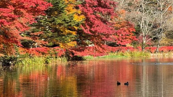 Tokyo taman belakang lawatan sehari Karuizawa: Air Terjun Bai Si + Kolam Yun Chang + Outlet Karuizawa