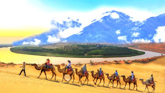 寧夏中衞沙坡頭+66號公路+騰格里沙漠一日遊【中衞起止】