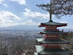 Private Full Day Mount Fuji Tour from Tokyo Including 3 View Spots