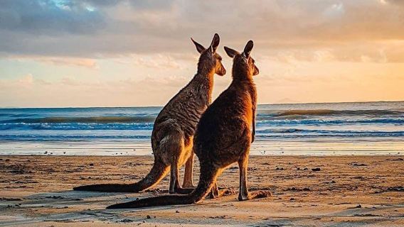 Kangaroo Island