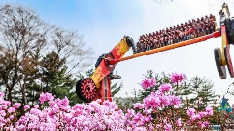 首爾樂園門票大小同價 首爾樂園門票大小同價