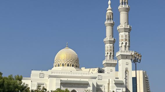 Dubai Gold Souk + Masjid + Palm Jumeirah + Miracle Garden Day Tour dengan Perkhidmatan Inggeris dan Cina