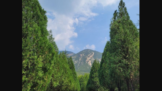 DengfengTours