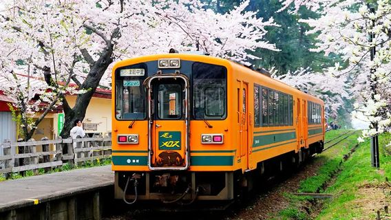 青森日遊