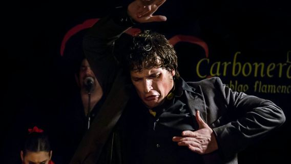 Madrid: Tapas Walking Tour + Flamenco Show