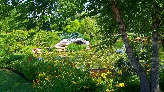 法國巴黎多地·來回莫奈花園【莫內筆下油畫之旅】普通話司導
