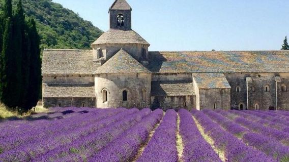 法國尼斯聖瑪麗+普羅旺斯薰衣草一日遊/行程可調-悅享旅途
