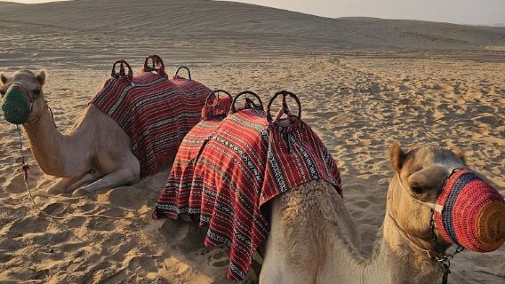 Abu DhabiExperiences