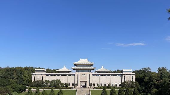 Nanjing Yuhuatai attraction+ Wumadu Square + Dabaoen Temple Ruins private charter one-day tour English Service Available