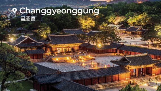 Passeggiata notturna nel palazzo antico | Visita serale al Changgyeonggung