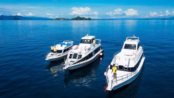 Tagesausflug mit dem Speedboot zur Insel Komodo [Insel Padar + Rosa Sandstrand + Takamankassar + Kap Manta]