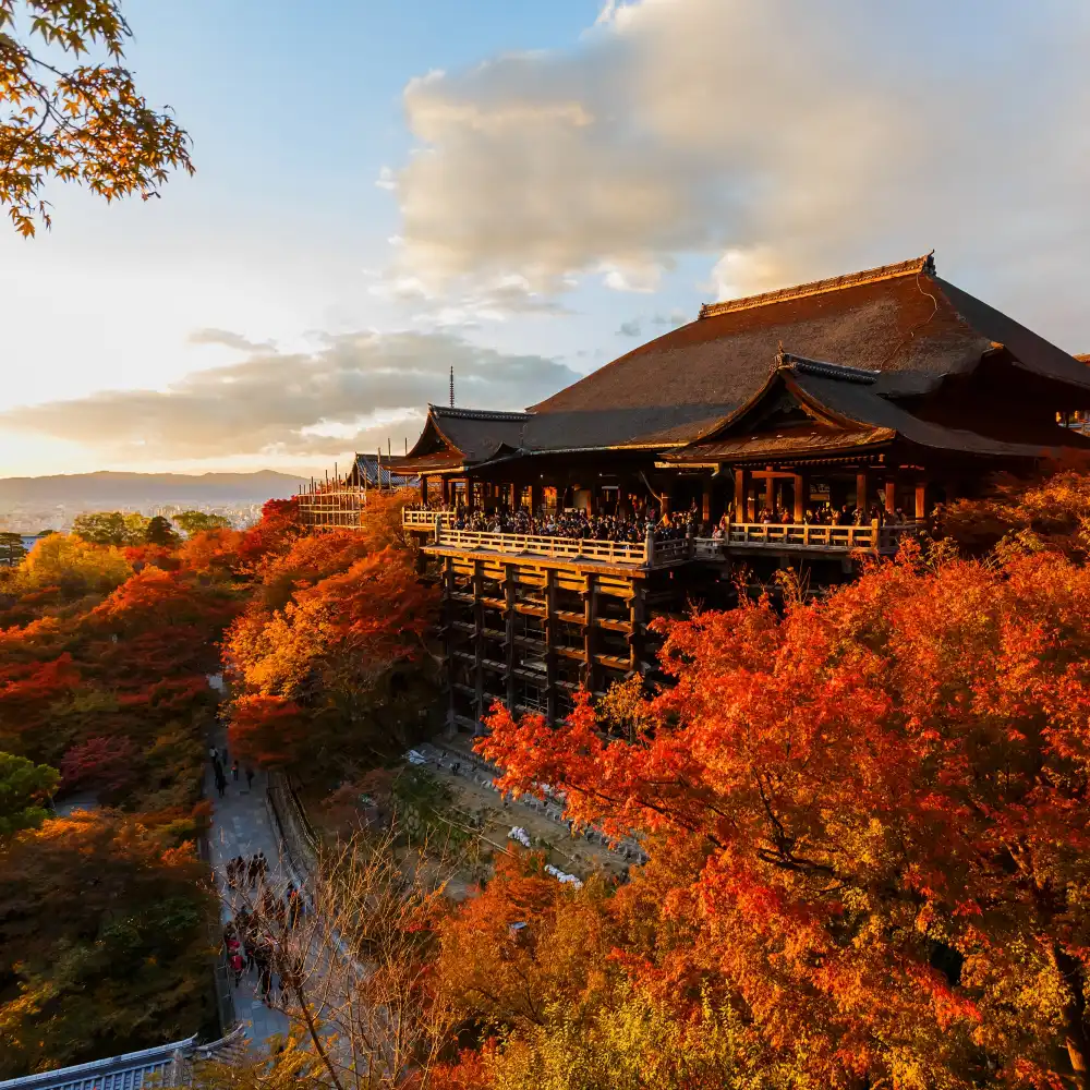 京都文化巡礼: 金閣寺+清水寺+伏見稲荷大社(大阪または京都発