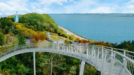 浦項太空漫步 X 環湖公園賞櫻|釜山出發
