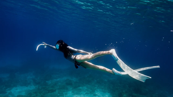 Departing from Naha, Kerama, Okinawa, Japan, 3 designated snorkeling spots. Experience/FUN diving| Chinese/English