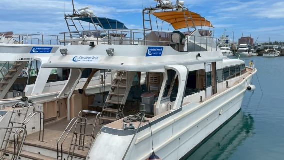 【7月～10月限定】サマークルーズ！阿波連ビーチで海水浴・アクティビティ