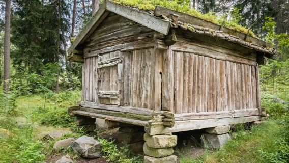 Helsinki Sightseeing Tour & Seurasaari Open-Air Museum