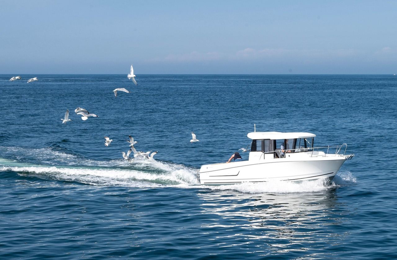 Cattura del granchio reale norvegese - esperienza in slitta - con guida professionale [prenotabile per 1 persona | trasferimento opzionale]