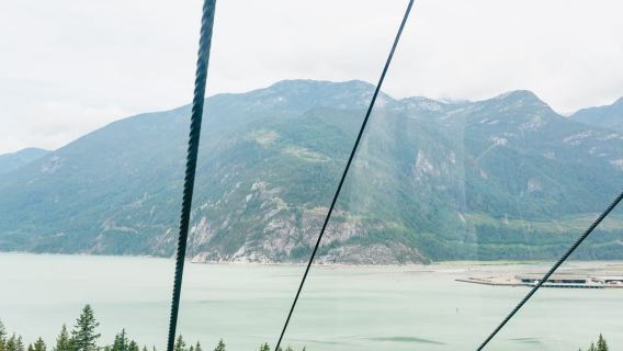 Однодневная поездка в Уистлер, на гондолу Sea to Sky и к водопаду Шеннон